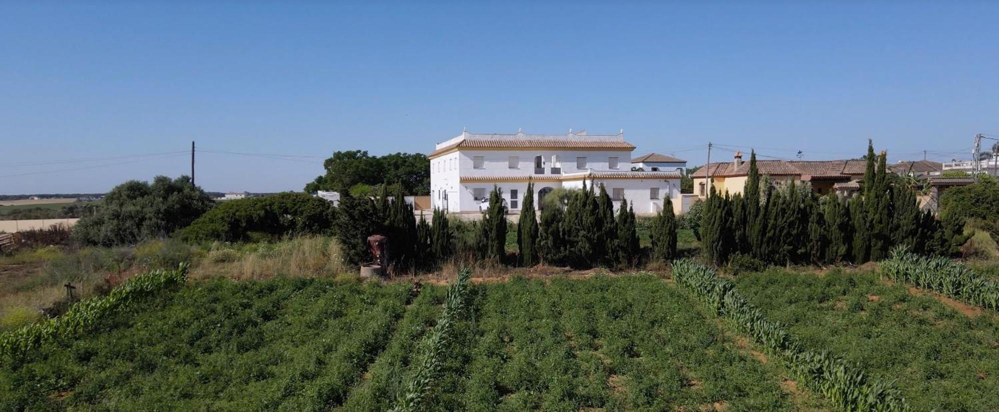 Alojamiento Rural Al'Mare Conil De La Frontera Exterior foto